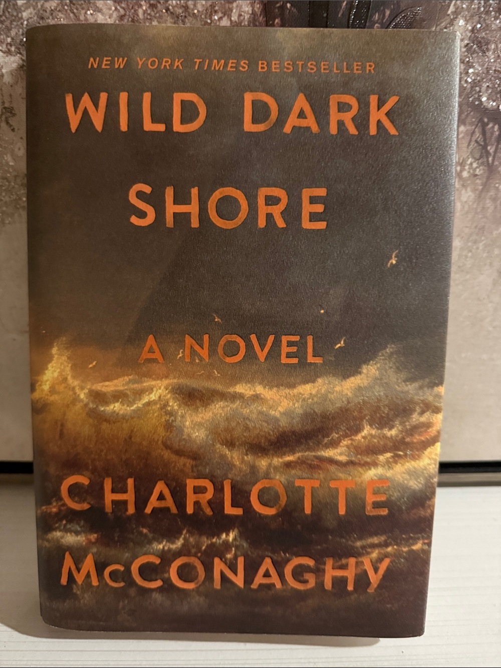 Wild dark shore by Charlotte McConaghy